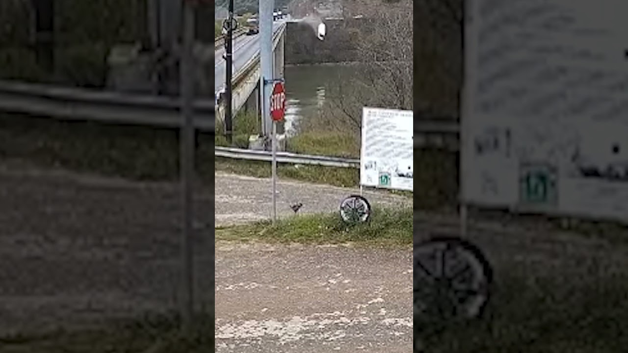 Momentul plonjării microbuzului în Dunăre a fost surprins de camerele de supraveghere