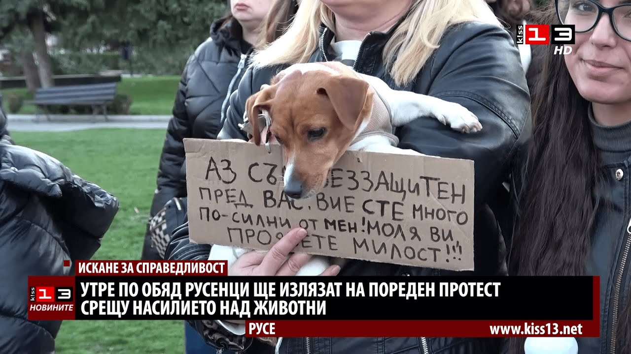 Русенци излизат на нов протест срещу насилието над животни