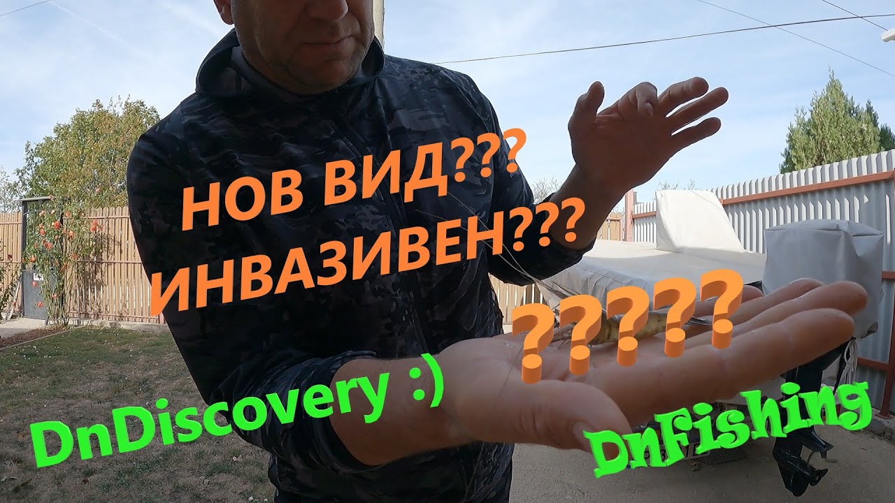 НОВ вид в р. Дунав?!?! ИНВАЗИВЕН???