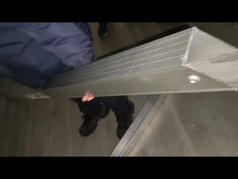 Недекларирани 225 000 британски и шотландски лири