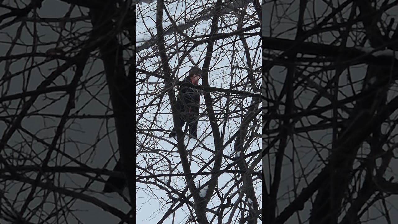 18 февруари 2026 г.