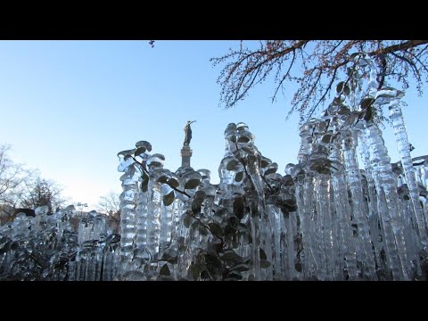 Ледена магия в Русе /ВИДЕО/