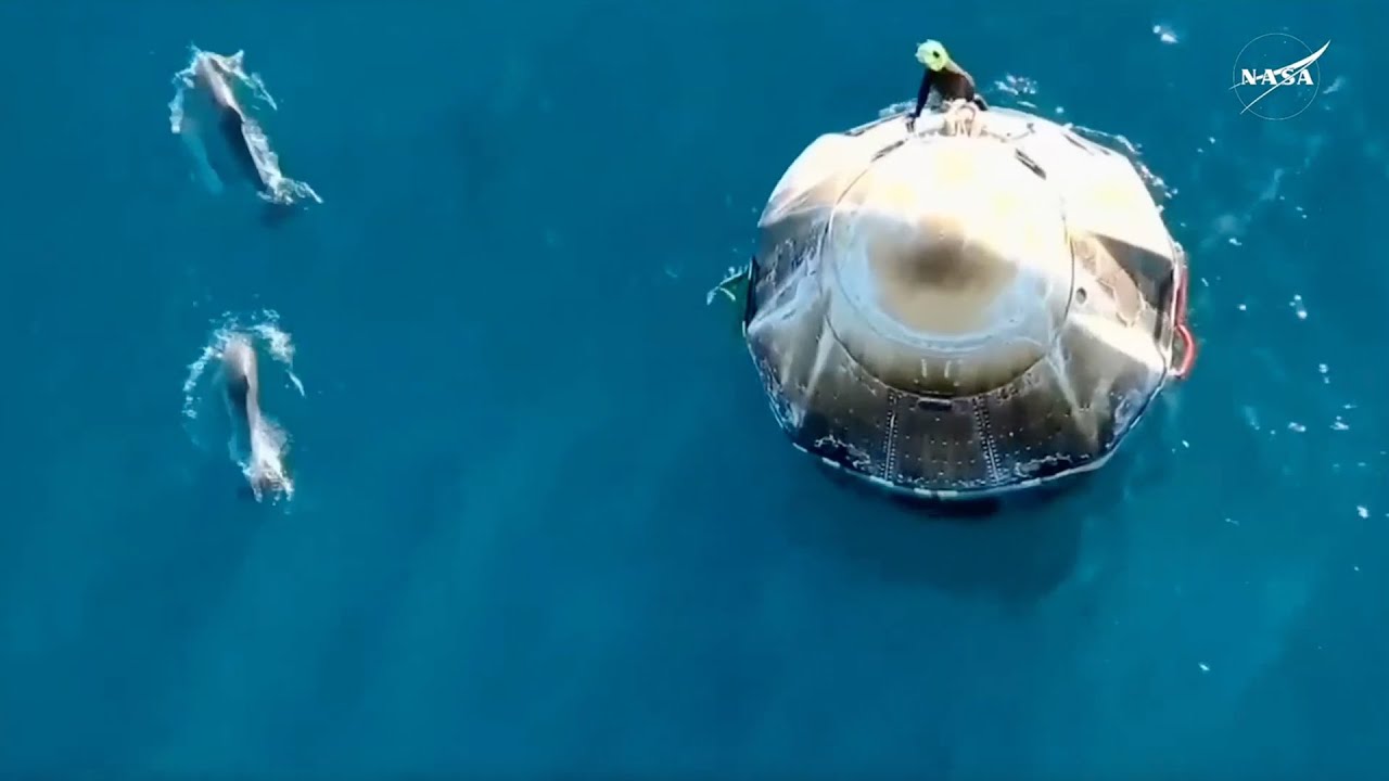 Dolphins welcome SpaceX Crew-9 Dragon spacecraft off coast of Florida after splashdown