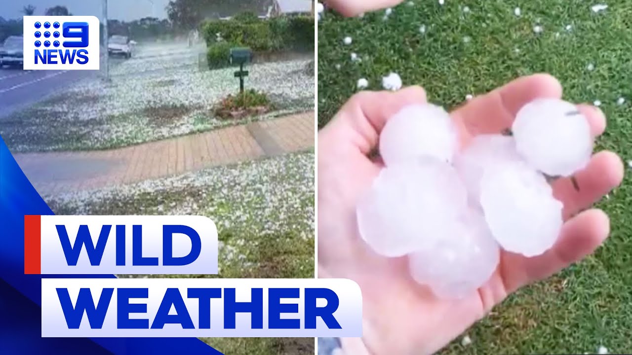 Severe storm warning issued for Sydney with threat of hail | 9 News Australia