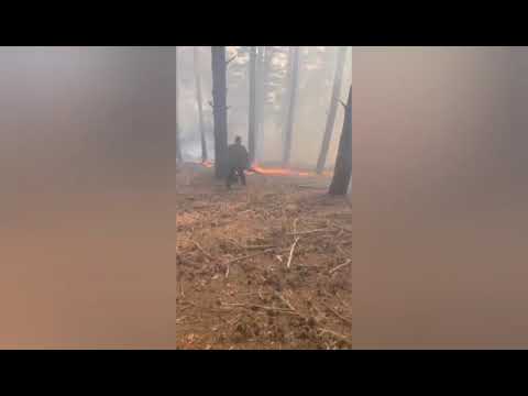 Пожар пламна в Сатовчанско