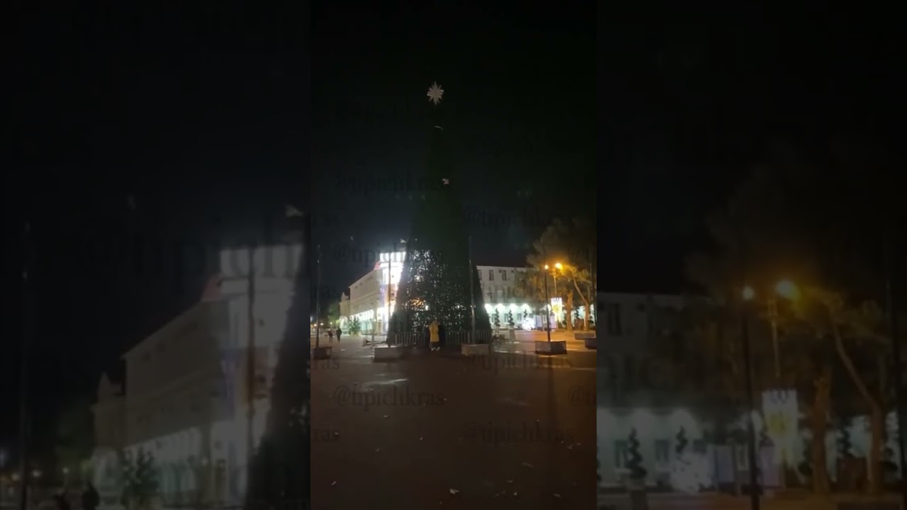 A drunk woman climbed a Christmas tree downtown