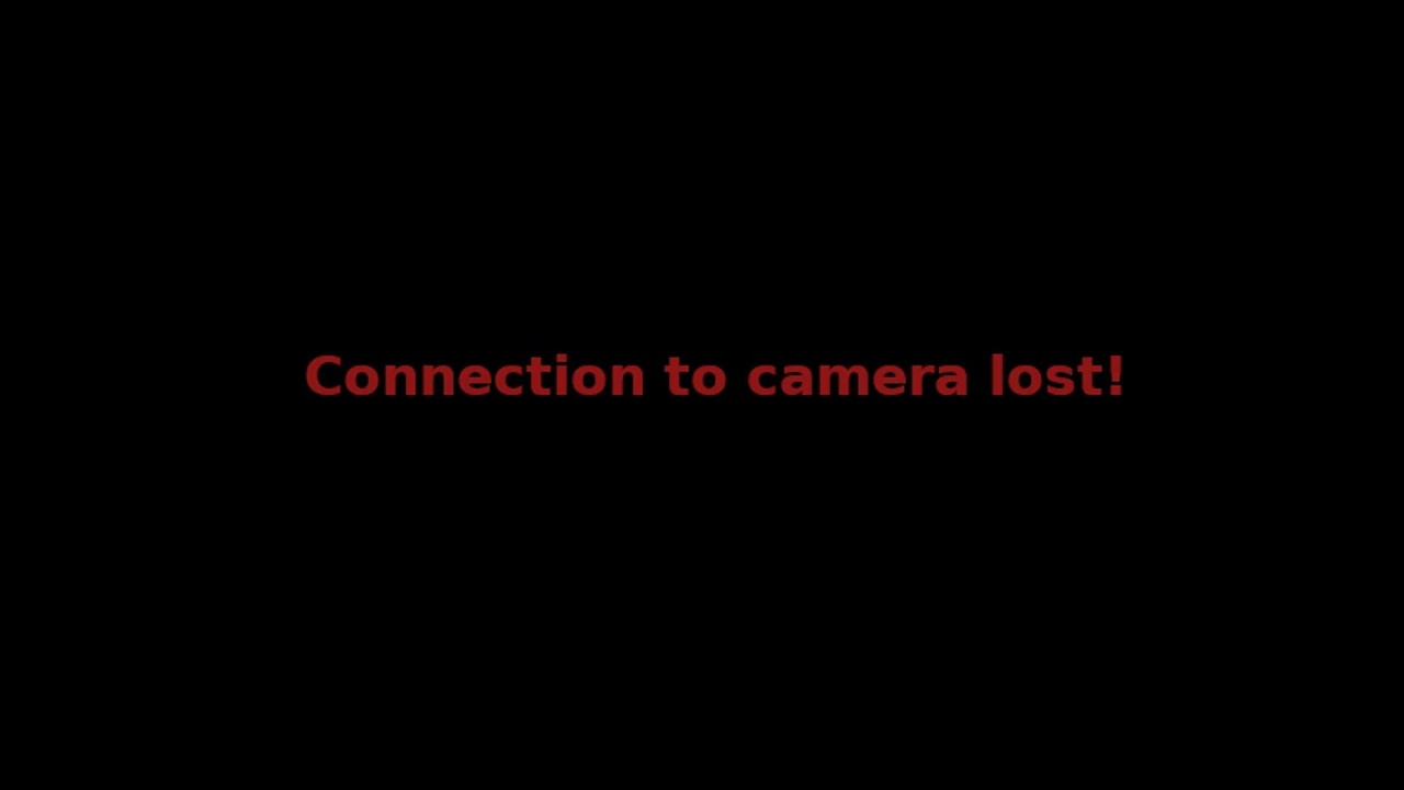 Камера предава на живо от гнездо на щъркели в село Драгушиново/Camera from a stork