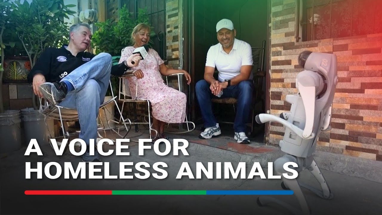 Robot dog in Mexico teaches animal kindness on the streets | ABS-CBN News