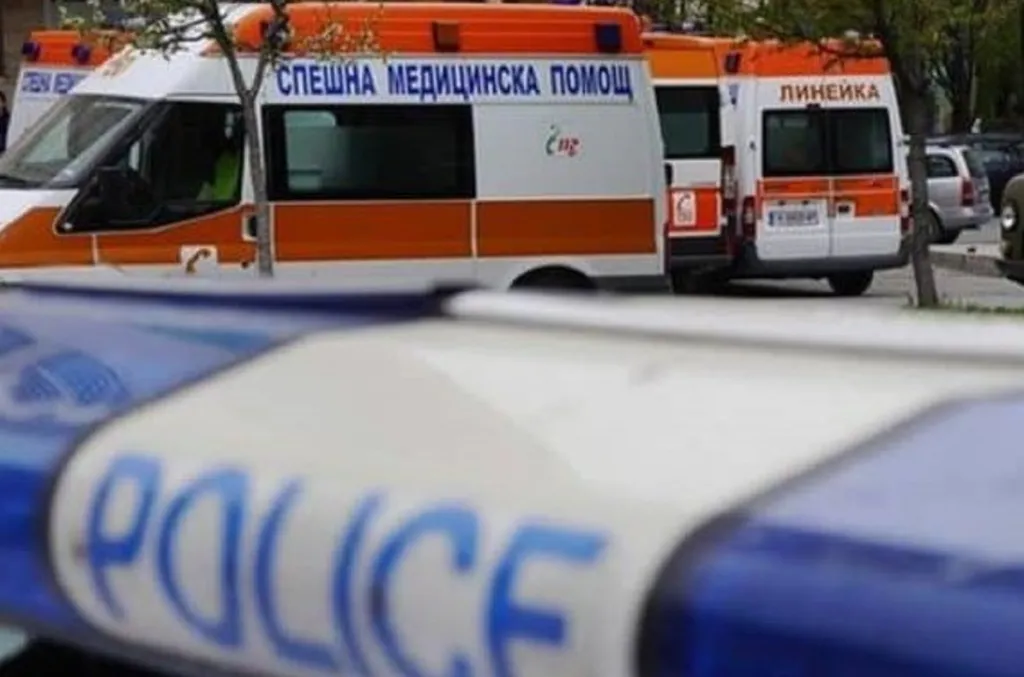 Шофьор пострада при катастрофа на пътя Русе – Бяла
