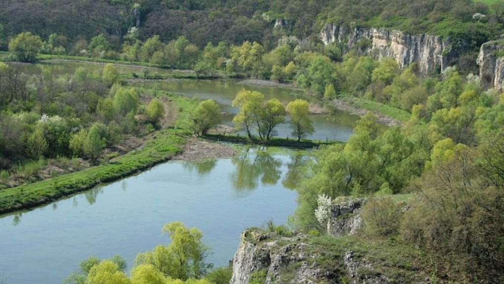 „Русенски Лом“ си търси нов шеф