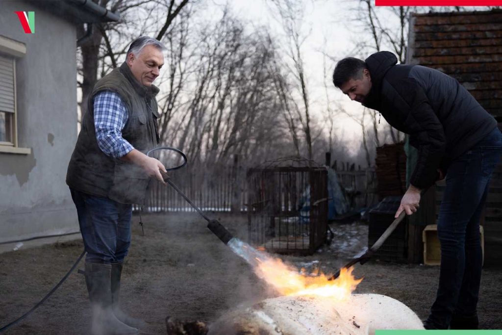 ЕС е в шок: Орбан коли прасе и запива с люта унгарска ракия (ВИДЕО)