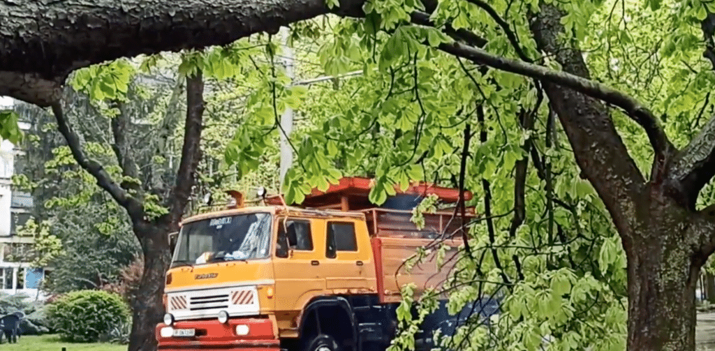 Дърво се прекърши и затрудни движението по русенска улица