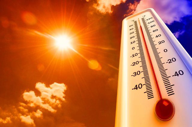 Как да действаме в най-горещите дни от годината?