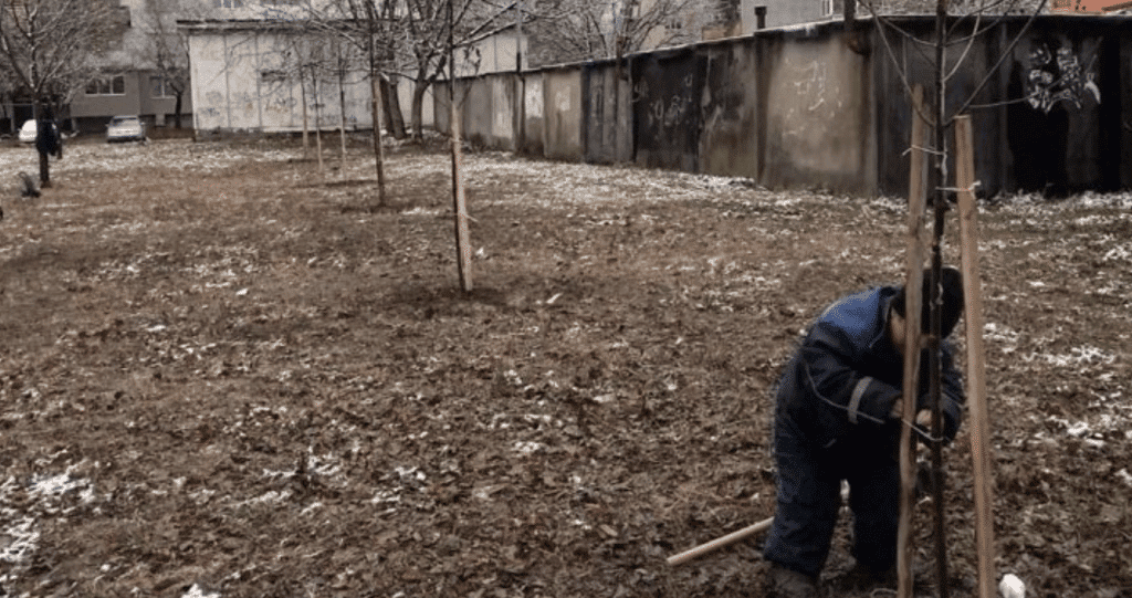 Засаждат нови храсти и дървета в Русе