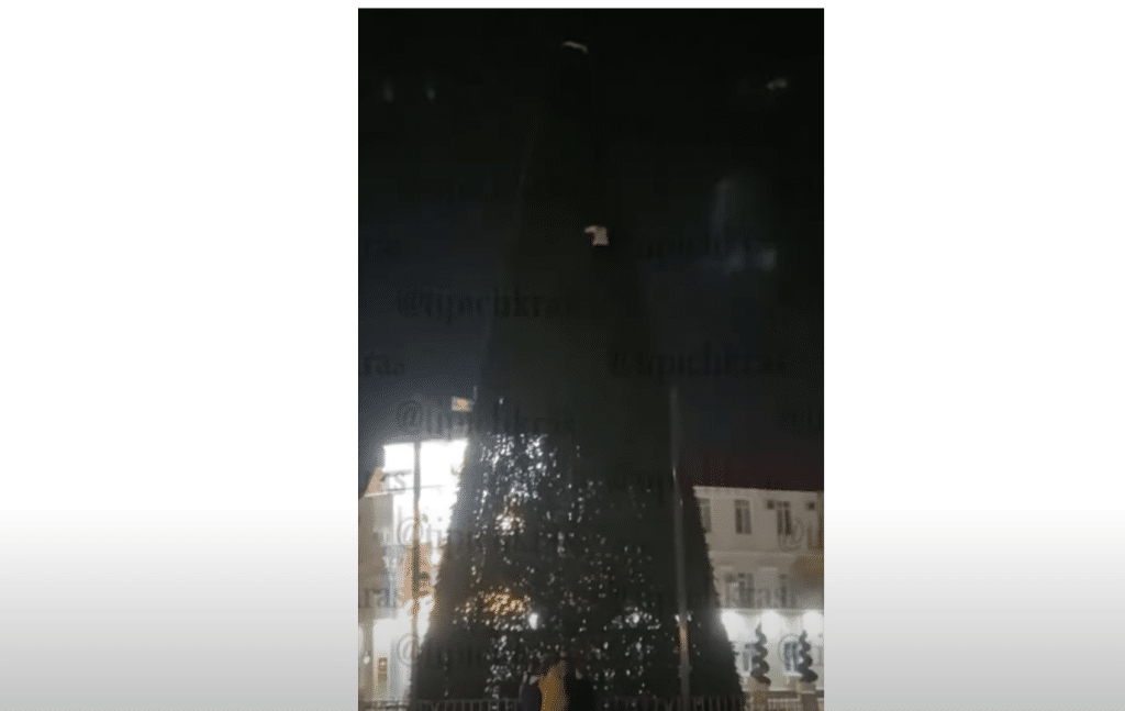 Пияна рускиня се качи на върха на 20-метрова елха (Видео)