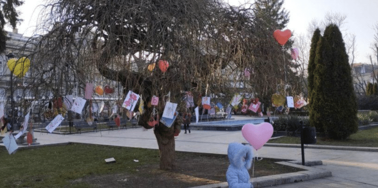 Русенци могат да се включат в конкурса “Да разцъфне Дървото на влюбените в Русе”