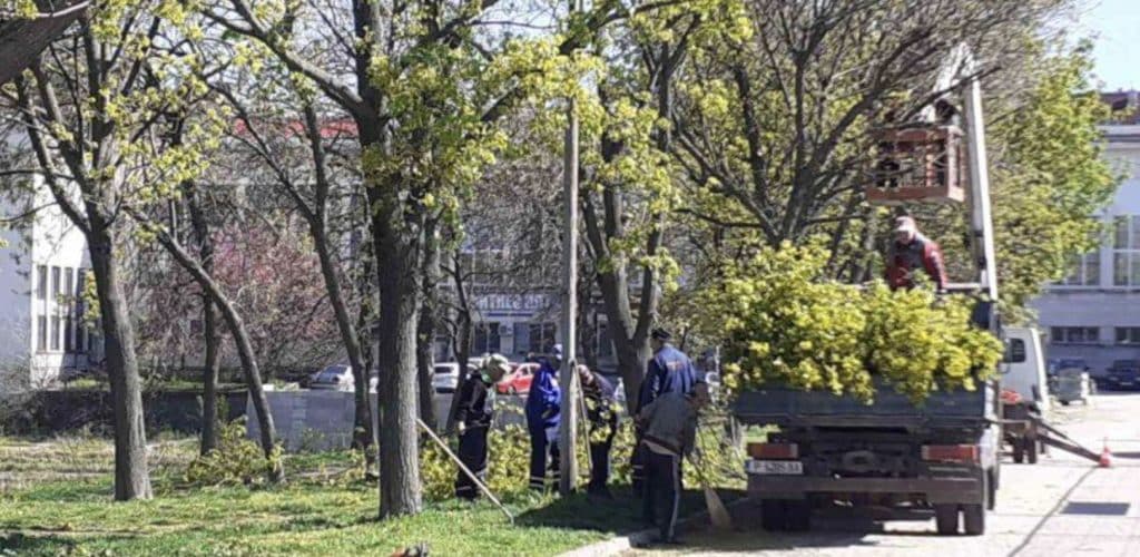 Санитарна резитба на дървета затваря част от ул. „Константин Иречек“ на 12 март