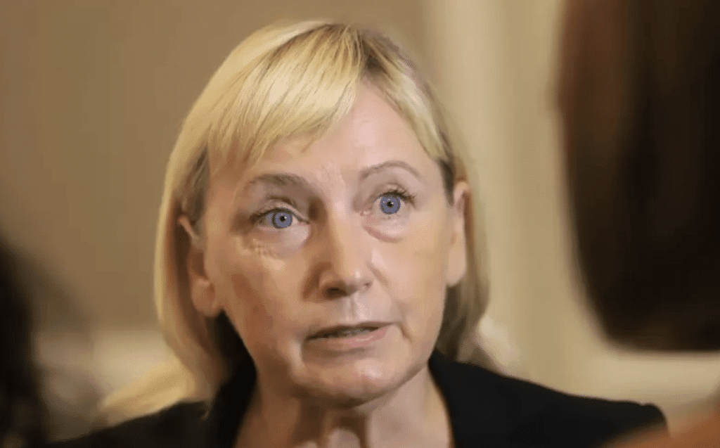 Елена Йончева и Танер Кабилов напускат групата „Обнови Европа“ в ЕП