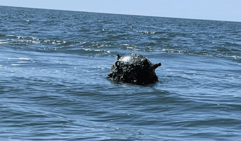 Унищожиха морска мина край Варна