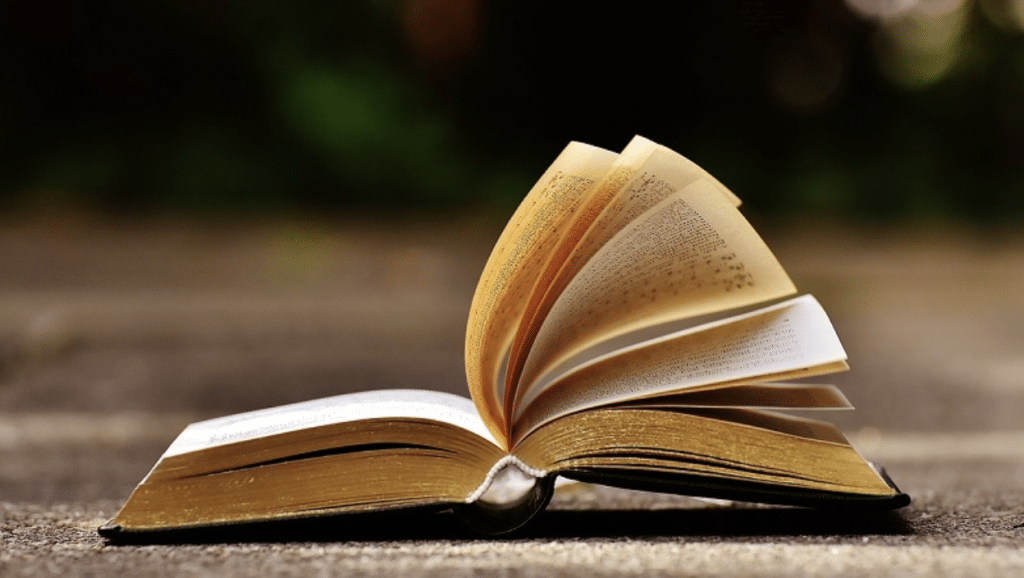 9 август – Световен ден на любителите на книгата