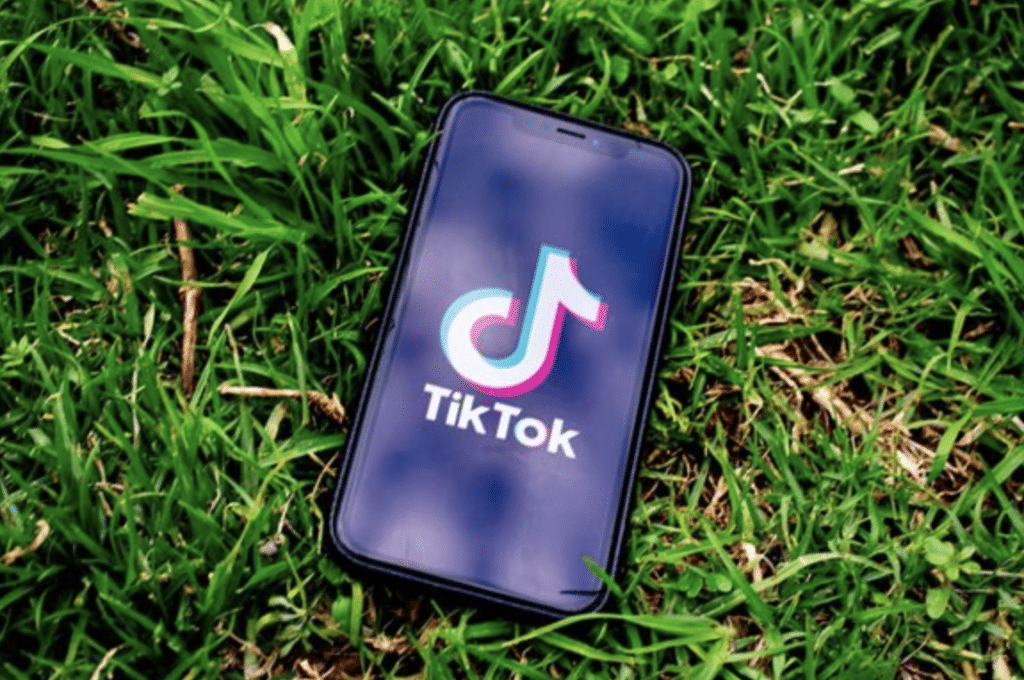 Расте броят на пострадалите деца от опасната игра в ТикТок в Северна Македония