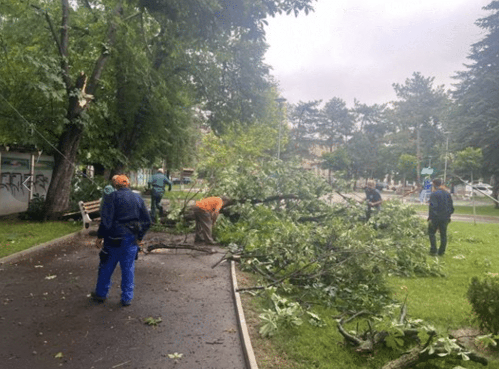 В Русе над 230 служители от дежурните екипи отстраняват щетите след снощната буря