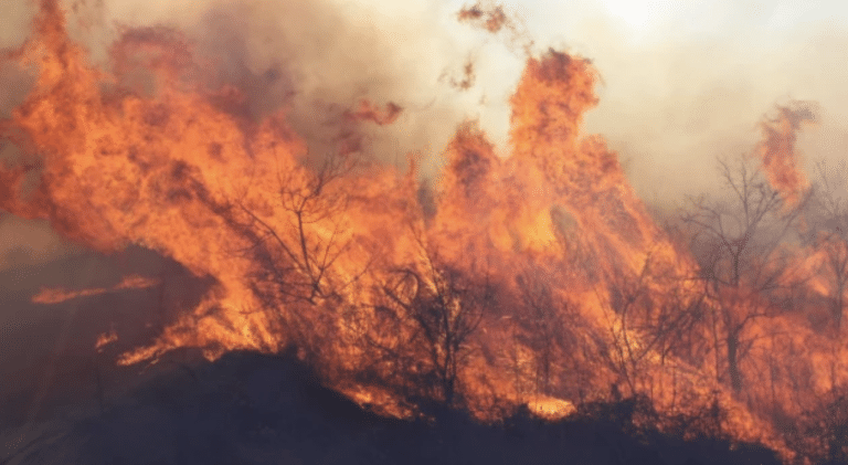 Продължава борбата с пожара в Монтанско, изгорил 4000 декара сухи треви и храсти