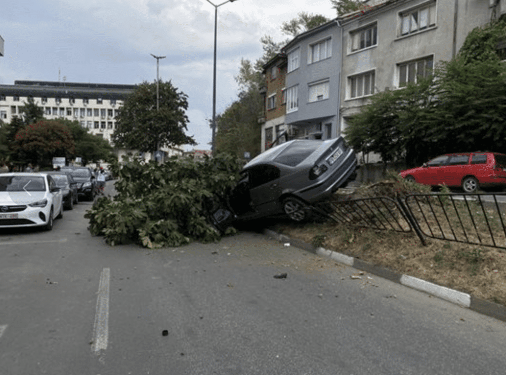 Млад шофьор помете дърво и кацна с БМВ-то върху ограда в центъра на Асеновград