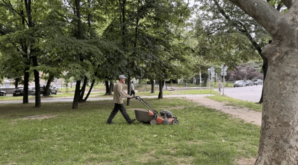 Продължава косенето на тревни площи в Русе