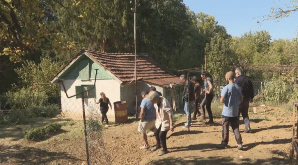 Породисти кучета са държани на царевица и жито във Врачанско