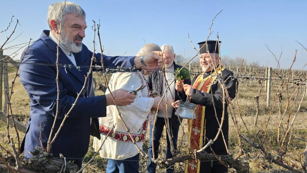 Областният управител Драгомир Драганов заряза лозите в Пиргово