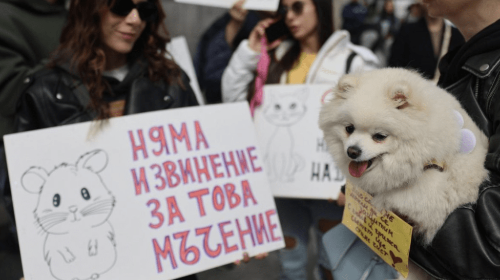 Разследването срещу мъчителите на животни от Перник става международно