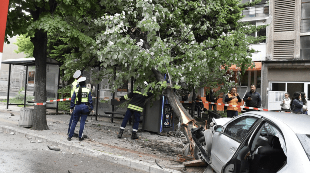 Кола събори дърво върху автобусна спирка в Хасково