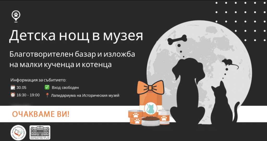 Детска нощ в музея с котенца и кученца