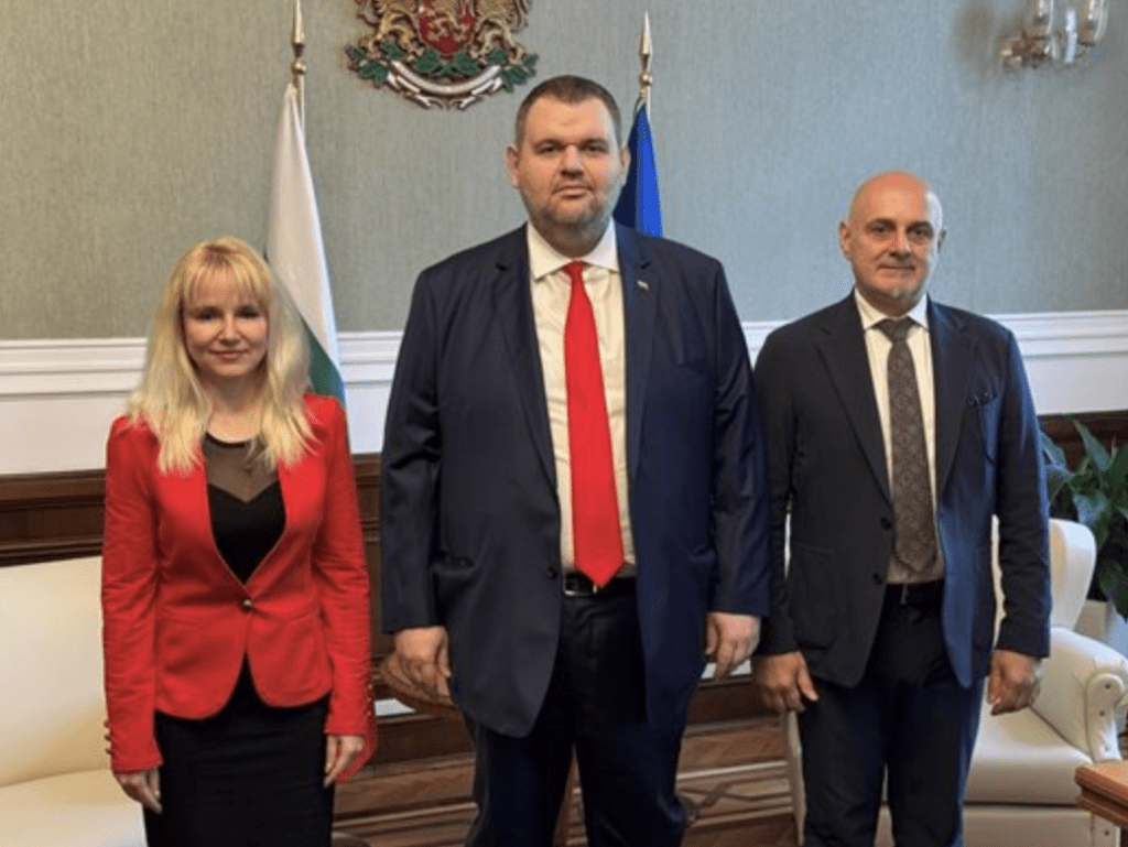 Ваня Василева напусна групата на ДПС-Доган