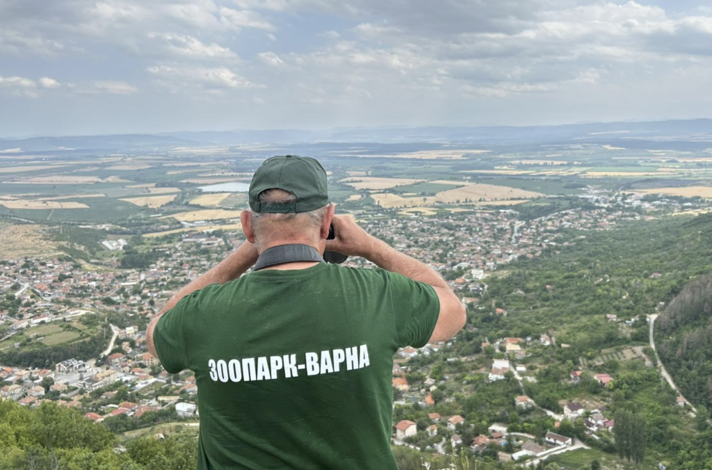 50 фотокапана не засичат хищника в Шумен, но е открита следа в пещера