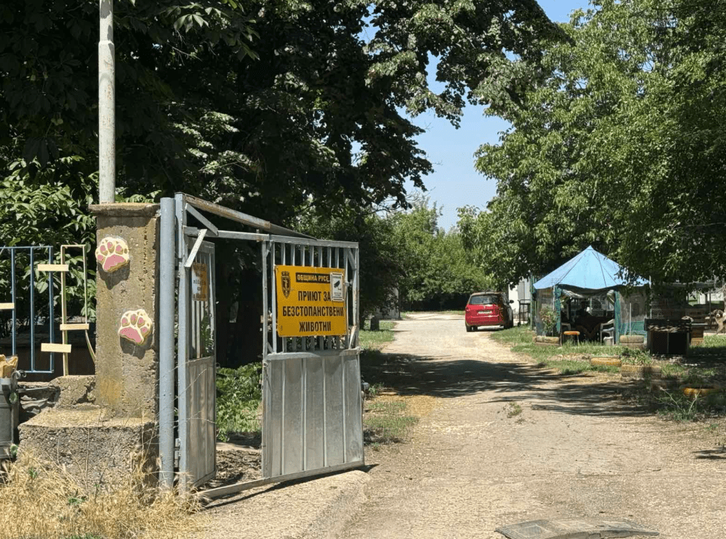 Общинският приют за безстопанствени животни в Русе търси ветеринарен лекар