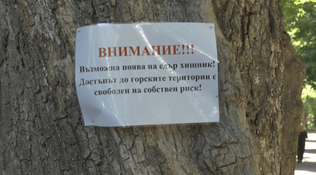 Хотели и ресторанти край Шуменското плато настояват за компенсации заради издирването на леопарда