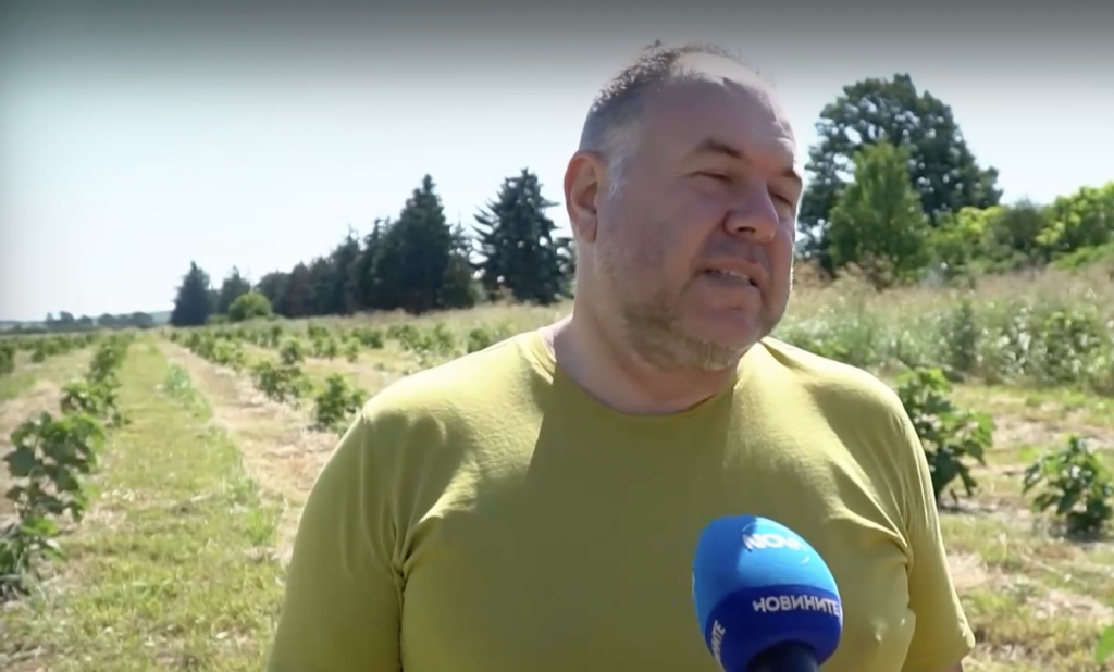 Сушата и климатичните промени ни оставиха без кайсии