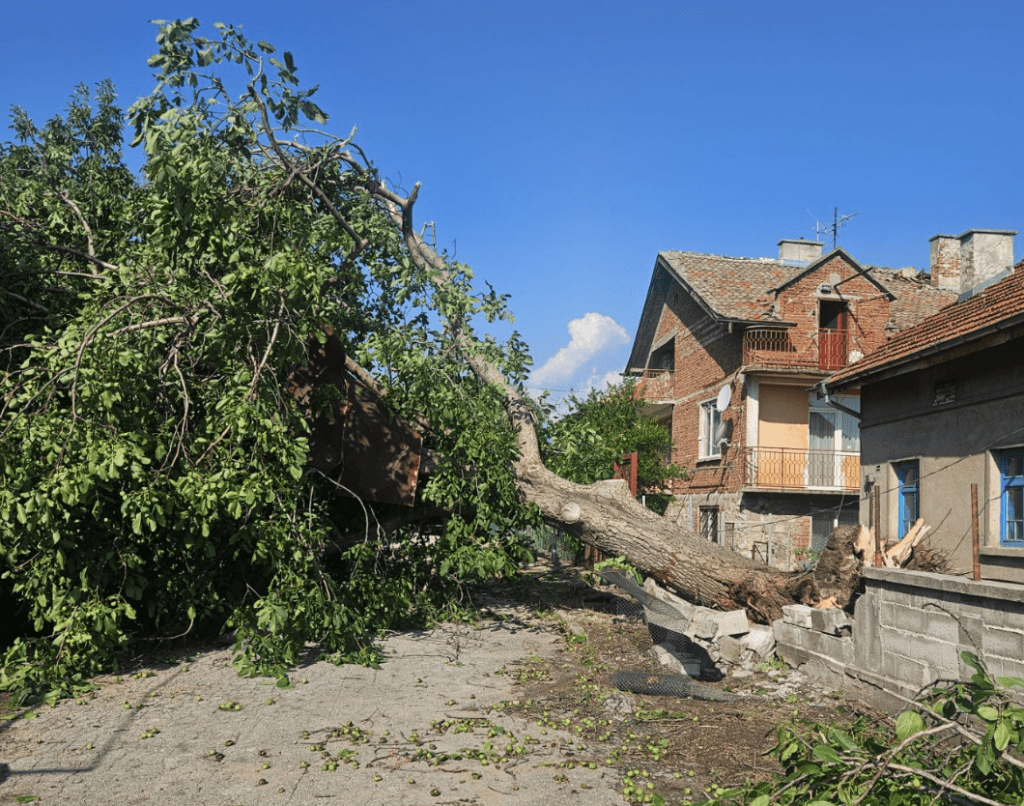 Бедствено положение в беловското село Дъбравите