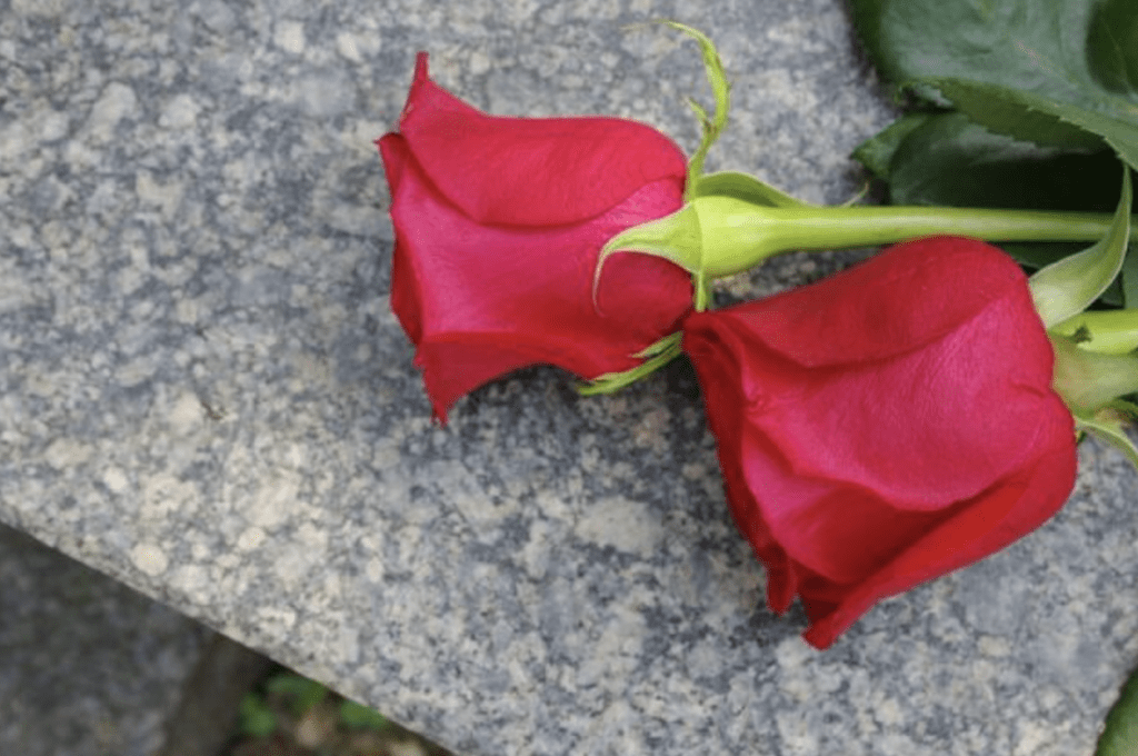 21 август – Международен ден за възпоменание и почит към жертвите на тероризма