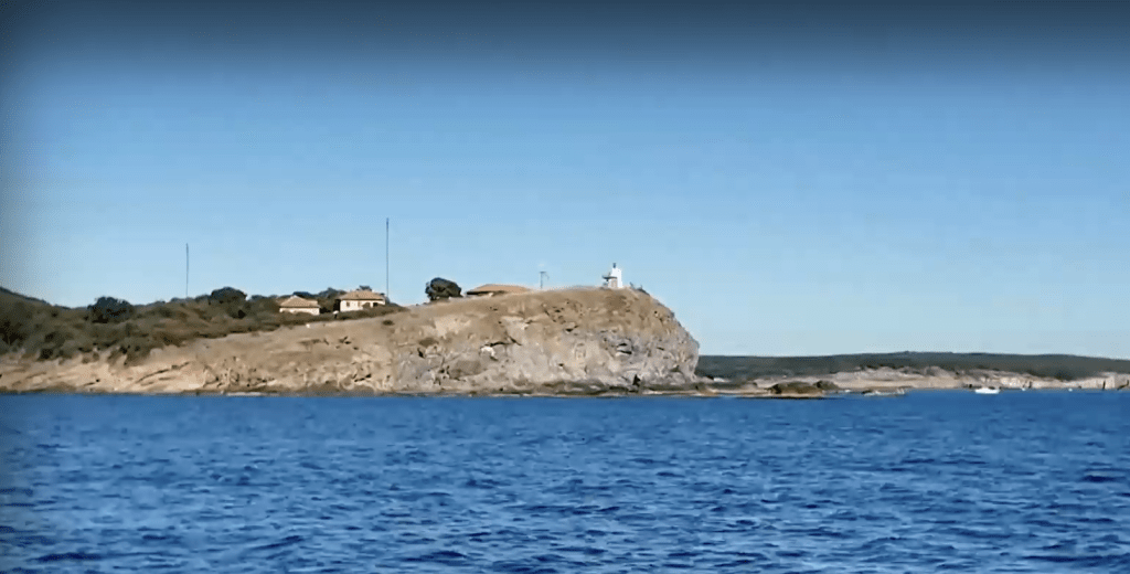 Откраднаха емблематичната скулптура на тюлена – монах край Маслен нос