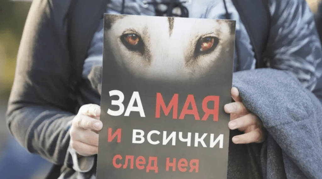 Протест пред ВМА след жестокото прегазване на кучето Мая в София