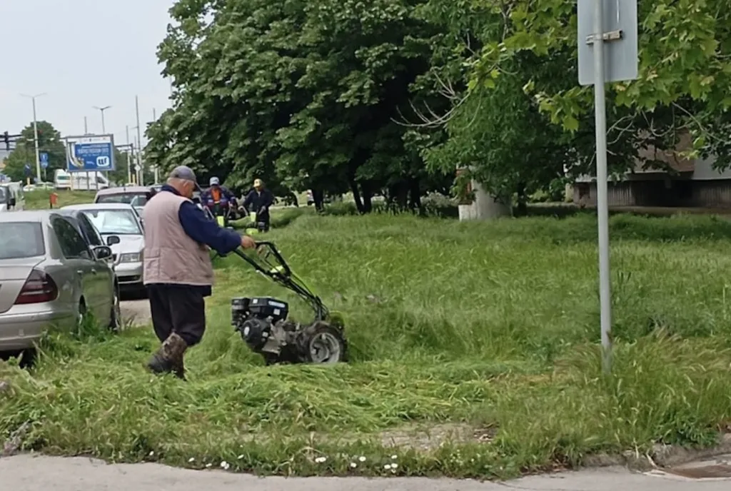 Общинските екипи продължават дейностите по косене на тревните площи в Русе