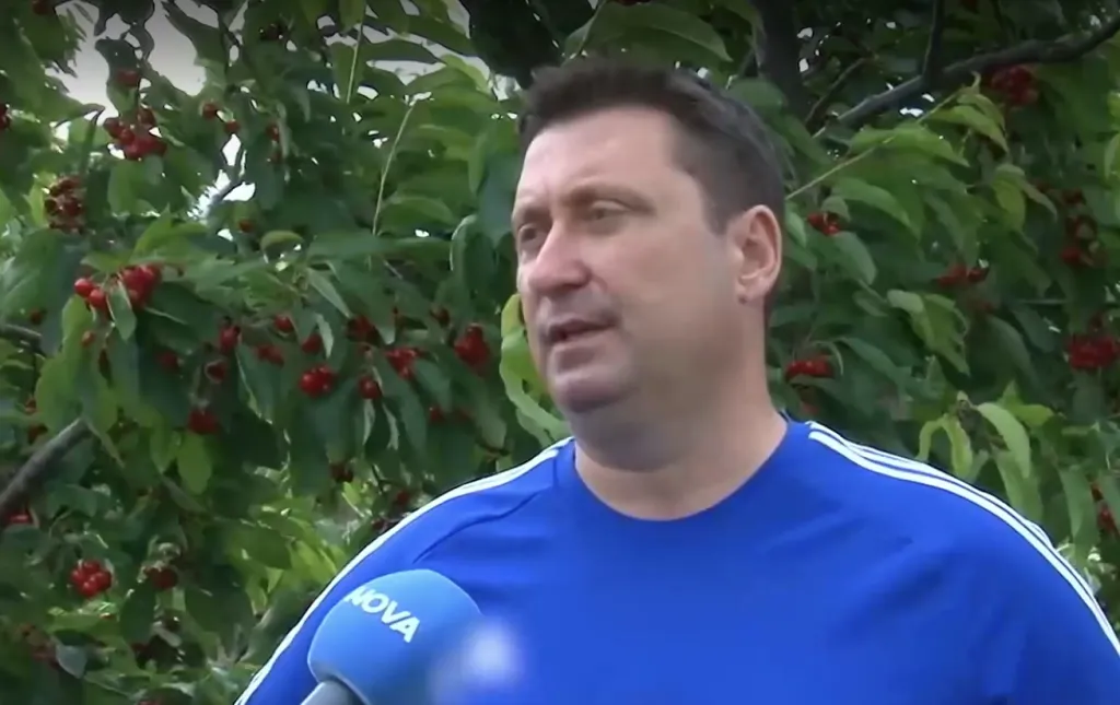 Ниски изкупни цени и скъп труд принуждават овощари в Бургаско да изоставят градините си