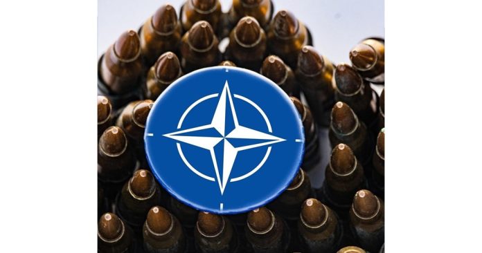 Източният фланг на НАТО предлага да плаща повече, за да задържи US войските Снимка: Pixabay