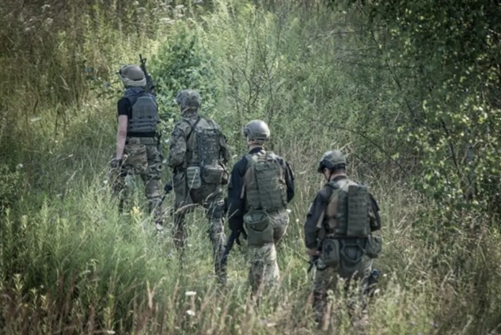 Спор за опашките на руско-грузинската граница