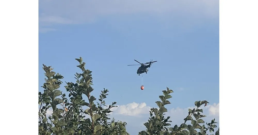 Cougar подпомага гасенето на пожара над село Антон