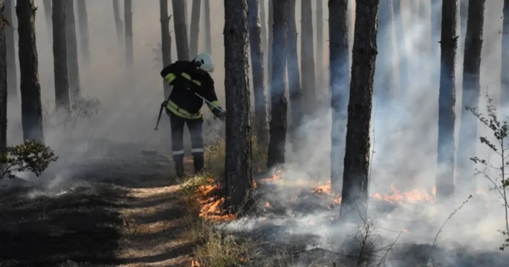 Пожарът край Горно Луково наложи бедствено положение