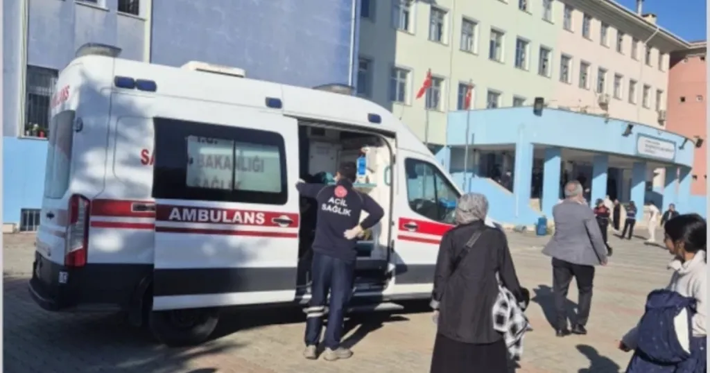 Ученички са ранени при нападение с нож в Истанбул